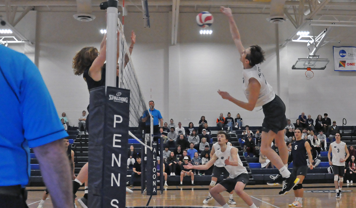 Lions Beat Tomcats 3-0 in AMCC Tourney Opener