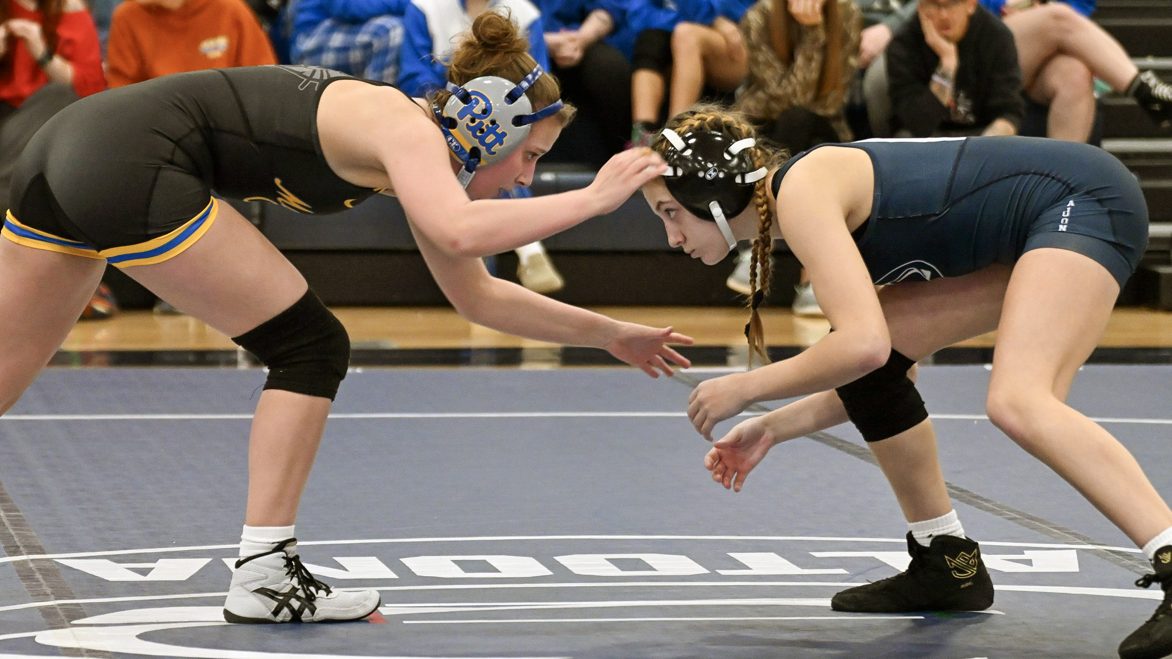 Lions Defeat Cougars, 19-16